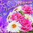 ���� Sofi, ������, 51 ��� - ��������� 4 �������� 2024