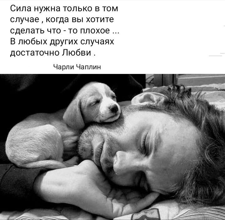 �������� ������ - 27 ������ 2026 � 18:01