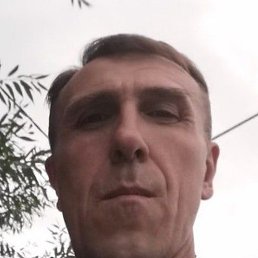 �����, ������, 49 ���