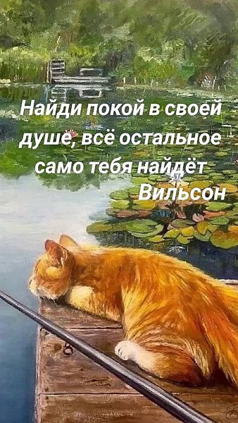 �� ����� ������! - 23 ������ 2025 � 22:14
