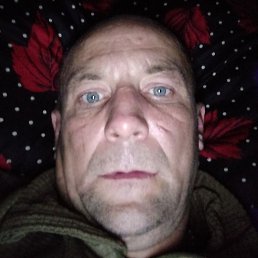 ������, ����, 41 ���