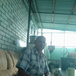 ����������, ���������, 55 ���