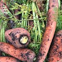 ���� C������, �������� - ��������� 6 ������� 2025 � ������ ���� ����������