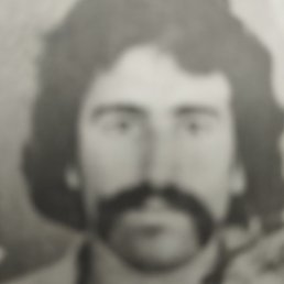 ��������, ������, 67 ���