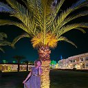 ���� ����, ������������, 51 ��� - ��������� 14 ������� 2025 � ������ ���� ����������