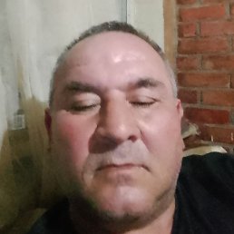 �����, ������, 49 ���