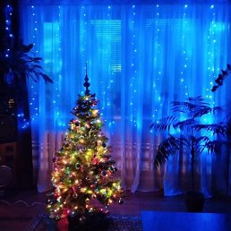 �����, �����, 43 ����