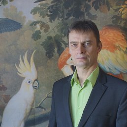 , 53, 