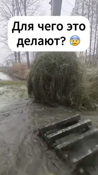     ?  - 2