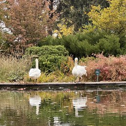 ���� �����, ���������, 51 ��� - ��������� 30 ������ 2026