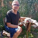 ���� ���������, �����, 67 ��� - ��������� 6 �������� 2025