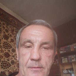 , 54, 