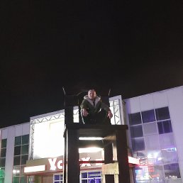 ���� ����, ������, 40 ��� - ��������� 24 ������ 2023