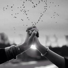 ���� ����, ������, 33 ���� - ��������� 4 ����� 2026