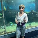 ���� Ryzhik, ����, 53 ���� - ��������� 26 ������� 2024 � ������ ���� ����������