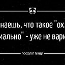 ���� �����, ����, 54 ���� - ��������� 11 ������� 2023 � ������ ������ ��������
