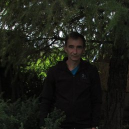 �����, ����, 61 ���