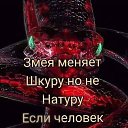 ���� ������, ������, 39 ��� - ��������� 14 ������ 2026