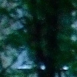 �������, �����-���������, 50 ���