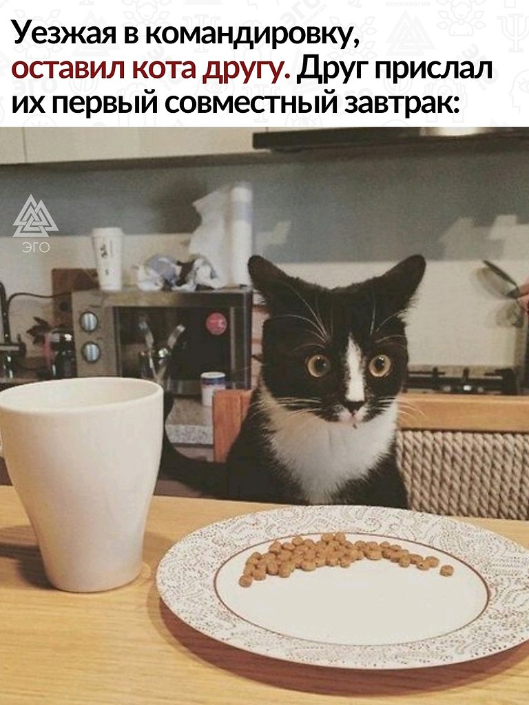      .   !