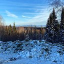 ���� �����, ������, 44 ���� - ��������� 16 ������ 2024 � ������ ���� ����������