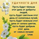 ���� �������, �������, 68 ��� - ��������� 13 ���� 2024 � ������ ������ ��������