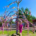 ���� ���������, ������������, 50 ��� - ��������� 21 ������� 2025 � ������ ���� ����������