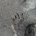 ���� �����, ����, 56 ��� - ��������� 24 ������ 2025 � ������ ������ ��������