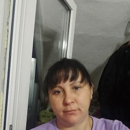 �����, 41 ���, �����