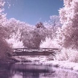 ������, ������, 24 ����