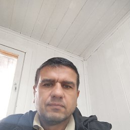 , 46, 