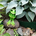 ���� �����, ����, 67 ��� - ��������� 7 ���� 2025 � ������ �������