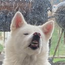 ���� ���������, ���������, 46 ��� - ��������� 21 ��� 2025