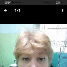 , 56, 