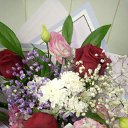 ���� ���������, �����������, 48 ��� - ��������� 28 ������� 2023 � ������ ���� ����������