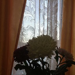 ���� Atash, ������, 44 ���� - ��������� 19 ����� 2024