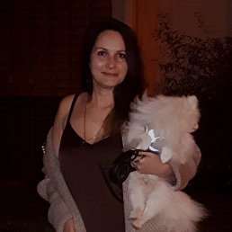 �����, 28 ���, ������