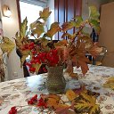 ���� ������ ., ������� - ��������� 27 ������� 2025 � ������ ���� ����������