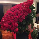 ���� ���������, �������, 72 ���� - ��������� 4 ������ 2024 � ������ ���� ����������