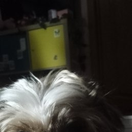 ���� �������, ������ - ��������� 3 ������� 2026