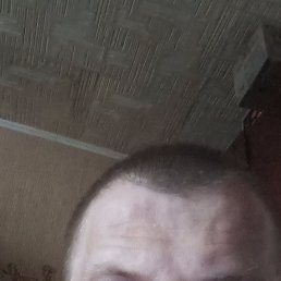 , 37, 