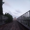 ���� ���� �����, ������, 39 ��� - ��������� 27 ������ 2024 � ������ ���� ����������