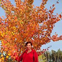 ���� ���, ��������, 36 ��� - ��������� 9 ������ 2023 � ������ ���� ����������