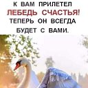 ���� ��, ������� - ��������� 19 ������ 2026 � ������ ������ ��������