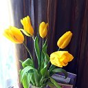 ���� ��������, ������, 56 ��� - ��������� 11 ����� 2025