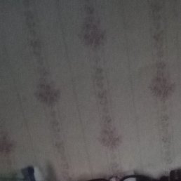 �������, ������, 48 ���