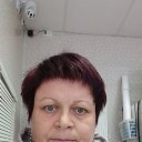 ���� �����, ��������� - ��������� 17 ������ 2026 � ������ ���� ����������