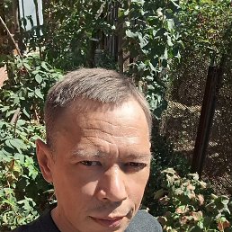 , 33, 