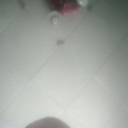 ����, ������ ��������, 47 ���