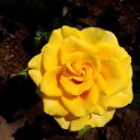 ���� ��������, �����, 67 ��� - ��������� 25 ������ 2024 � ������ ���� ����������